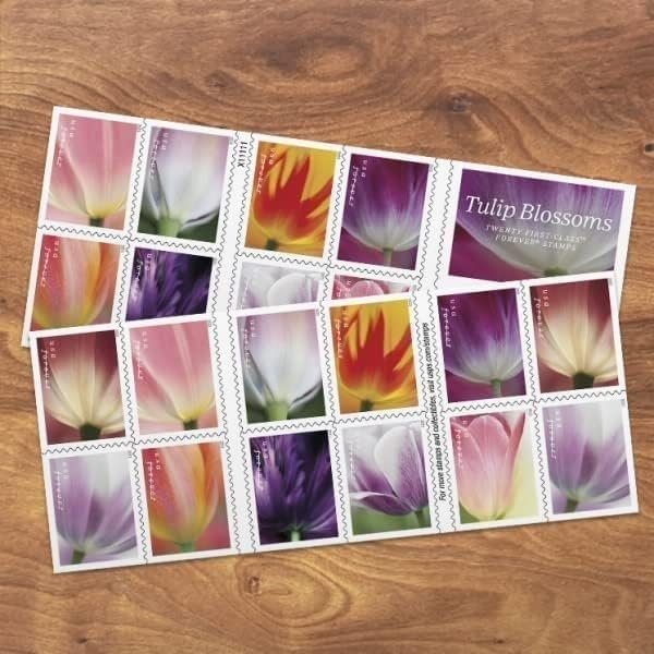 Tulip Blossoms 2023 (Book of 20) First-Class Mail Forever Postage Stamps