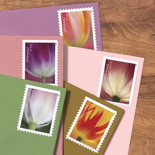 Tulip Blossoms Forever Postage Stamps Book of 20 Self-Stick Stamp for USPS First Class Envelopes (20 Stamps)