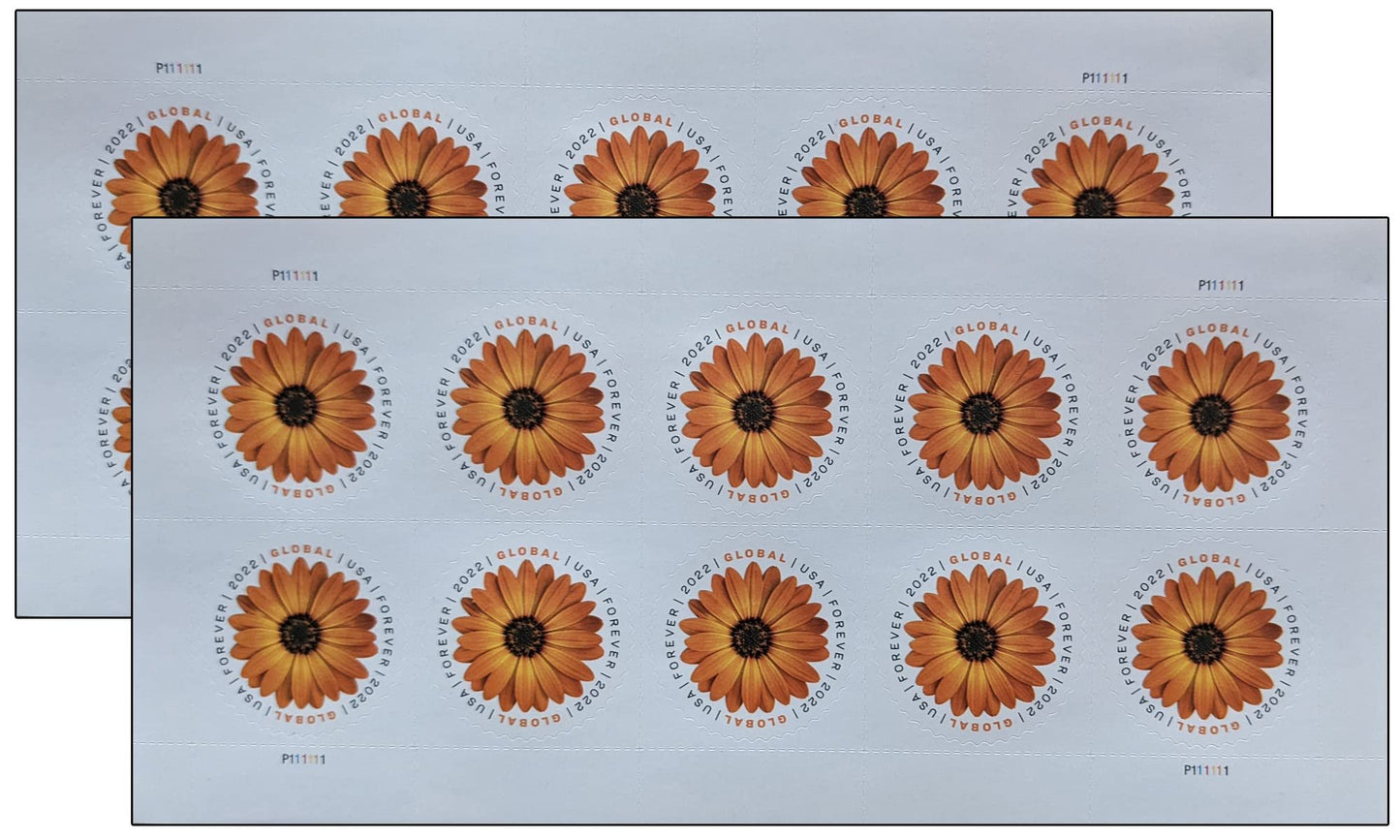 USPS African Daisy Flower Global US First Class International Current Rate Forever Postage Stamps Wedding (20 Stamps) (580100)