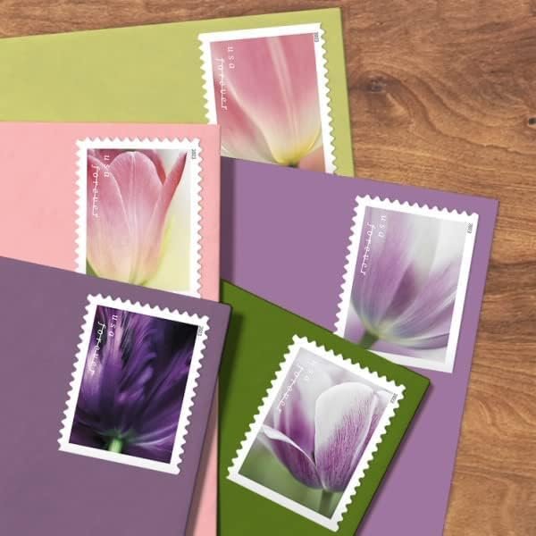 Tulip Blossom Forever First Class Postage Stamps, Valentine, Wedding, Celebration, Anniversary, Romance, Party (3 Sheets of 20 Count Booklet= 60 Stamps)