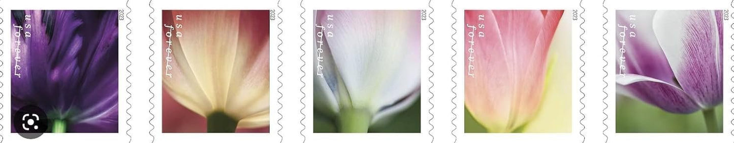 Tulip Blossoms Forever Postage Stamps Book of 20 Self-Stick Stamp for USPS First Class Envelopes (20 Stamps)